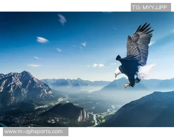 今年运动数据赵静专访从极限运动新手到顶尖选手的奋斗与成长之路